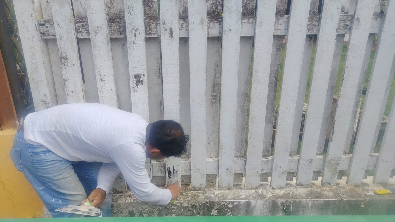 Fence staining and painting Singapore