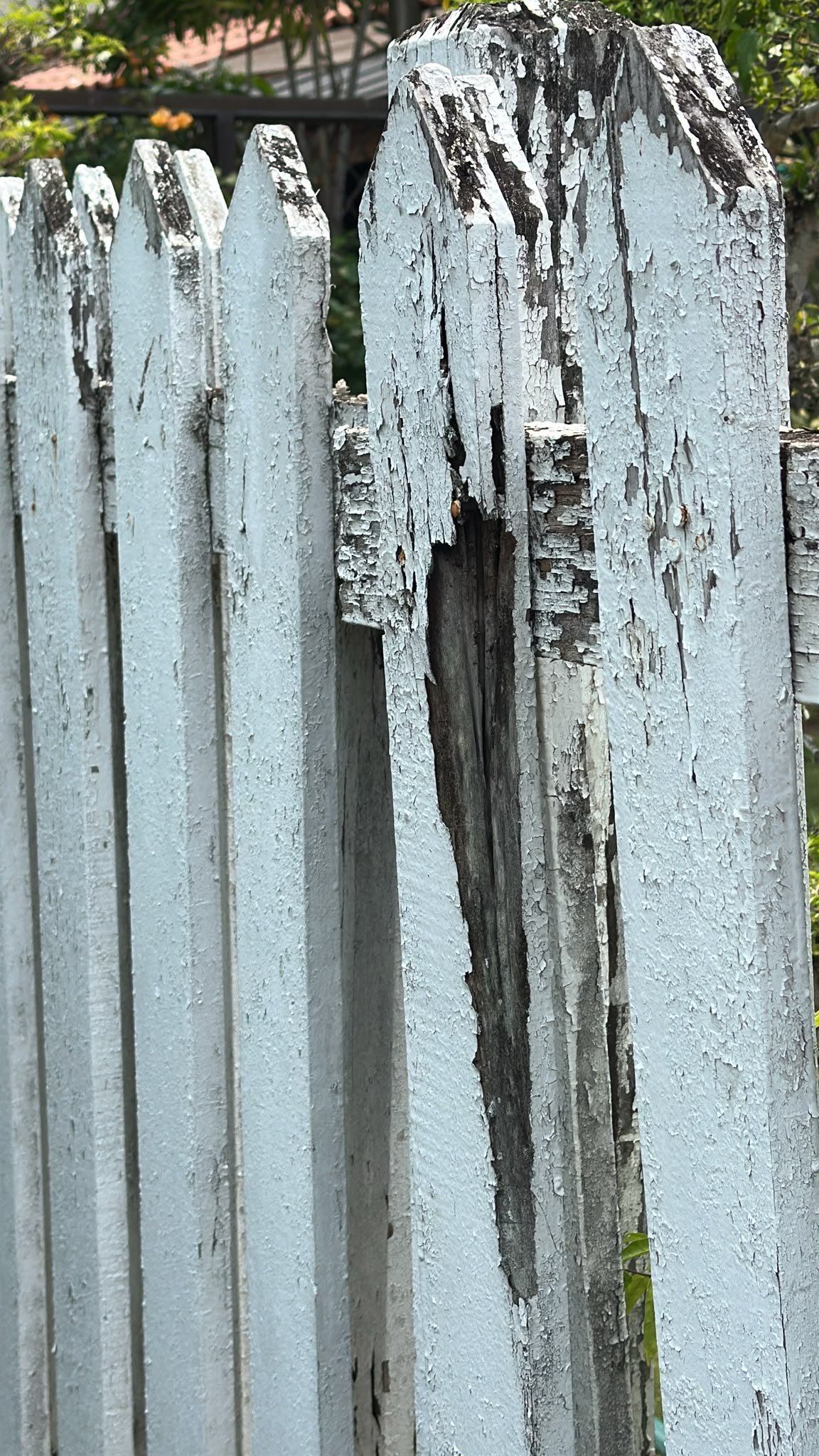 Wooden fence installation Singapore