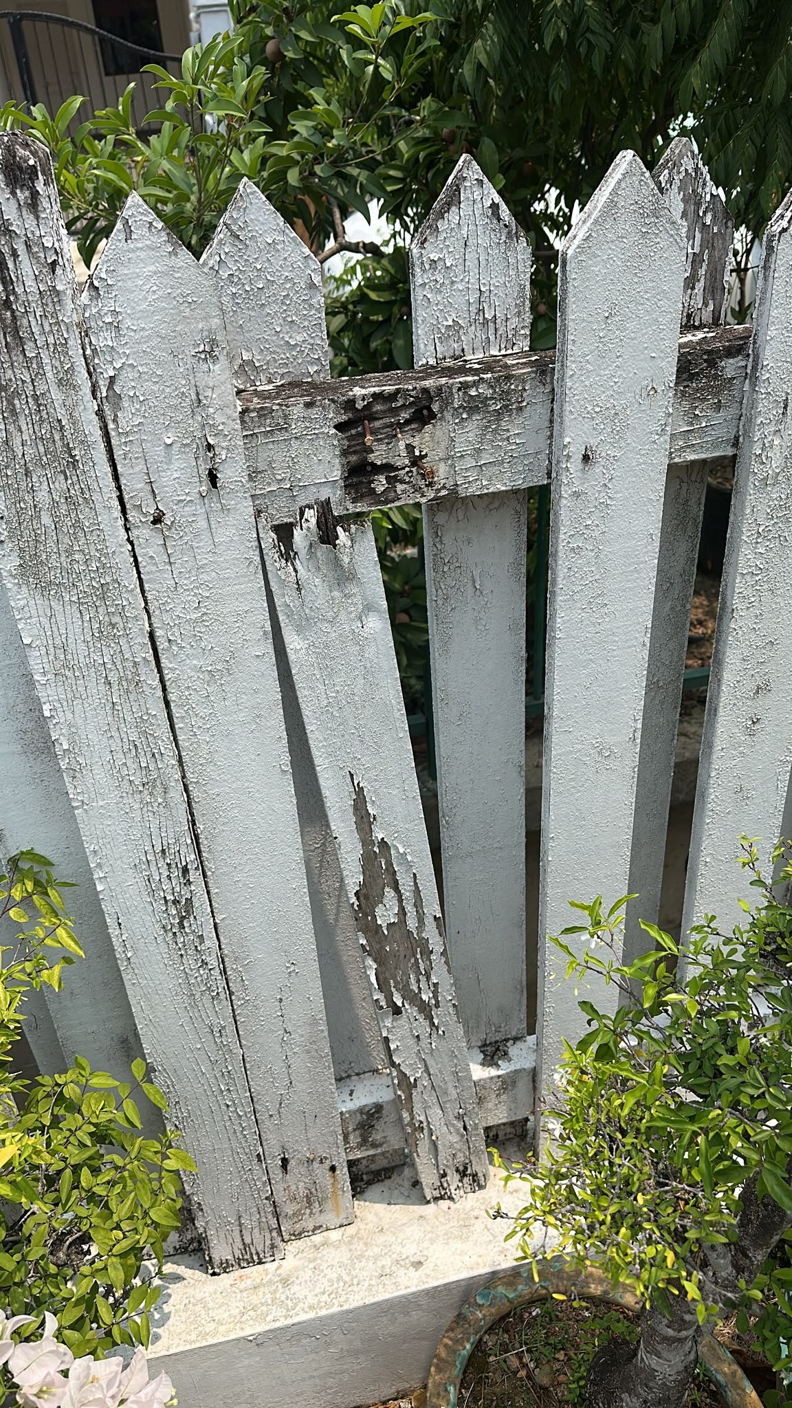 Wood fence repair project Singapore